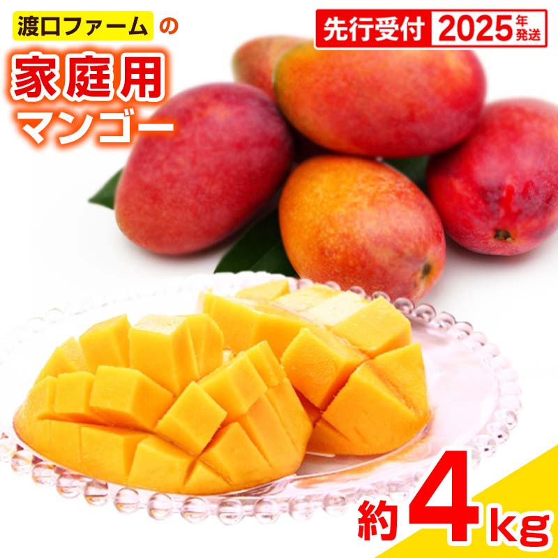 【ふるさと納税】【先行受付】【2025年発送】渡口ファームの家庭用マンゴー約4kg