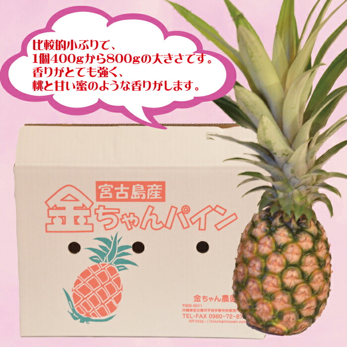 ふるさと納税 21年9月下旬発送 宮古島産ピーチパイン3個セット パイナップル パイン 宮古 多良間 ピーチパイン ピーチ Kanal9tv Com