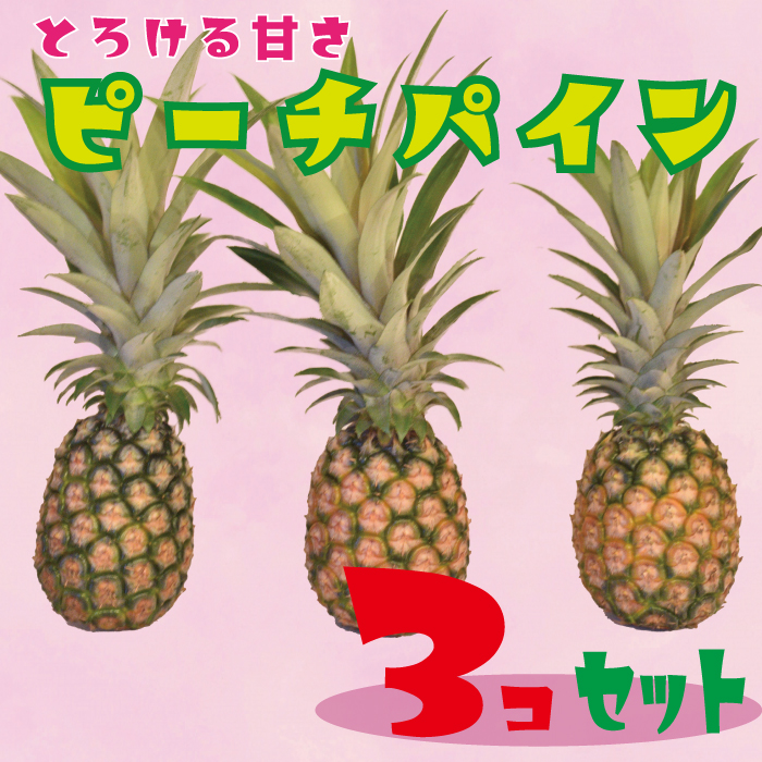 ふるさと納税 21年9月下旬発送 宮古島産ピーチパイン3個セット パイナップル パイン 宮古 多良間 ピーチパイン ピーチ Kanal9tv Com