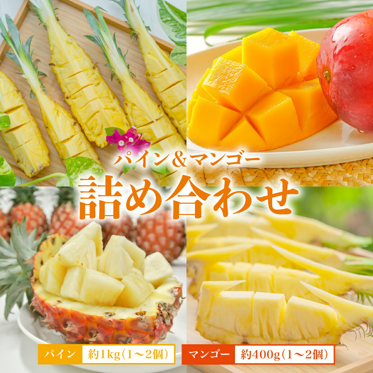 楽天市場】【ふるさと納税】2025年 先行予約 マンゴー 夏小紅 約1kg 2 