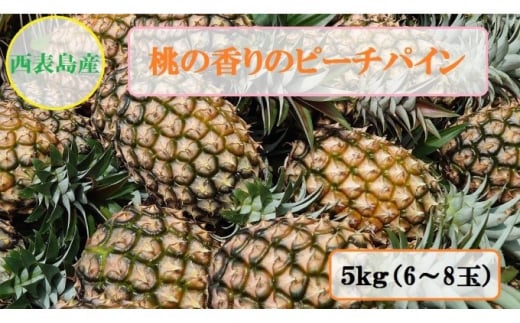 【ふるさと納税】2025年 先行予約 ピーチパイン 約5kg 5～8玉 桃の香り ますみ農園 パイン 果物 フルーツ　【果物詰合せ・フルーツ・ピーチパイン】　お届け：2025年5月上旬～6月中旬