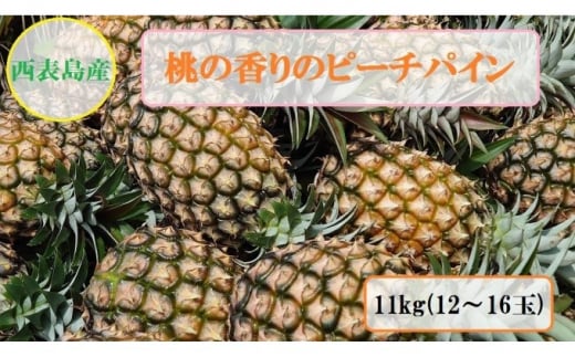 【ふるさと納税】2025年 先行予約 ピーチパイン 約11kg 12～16玉 桃の香り ますみ農園 パイン 果物 フルーツ　【果物詰合せ・フルーツ・ピーチパイン】　お届け：2025年5月上旬～6月中旬