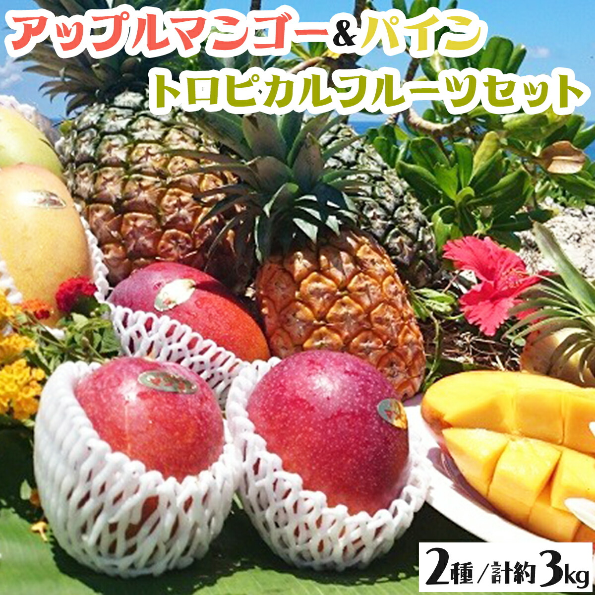 【ふるさと納税】2025年 先行予約 パイン マンゴー セット トロピカルフルーツセット ますみ農園 果物 【 果物 フルーツ マンゴー 果物詰合せ パイン トロピカルフルーツセット 】 お届け：2025年6月下旬～7月中旬