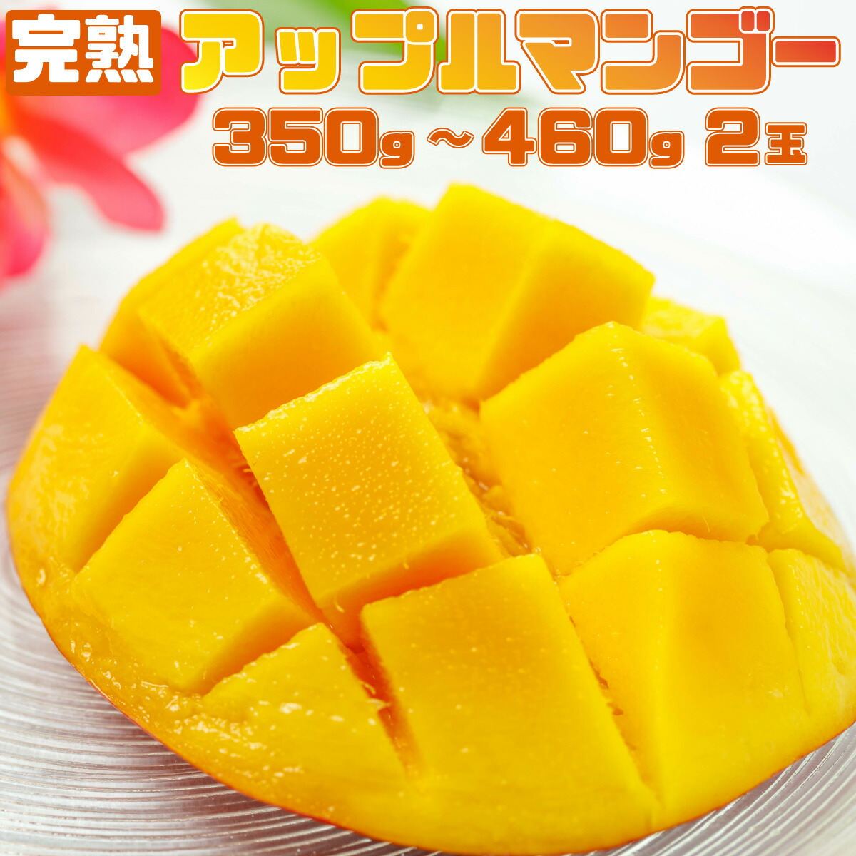 【ふるさと納税】完熟 アップルマンゴー 2L 350g～460g 2玉 マンゴー 果物 デザート 品評会連続入賞 2025年 発送 ますみ農園 【 竹富町 】 お届け：2025年6月下旬～7月下旬