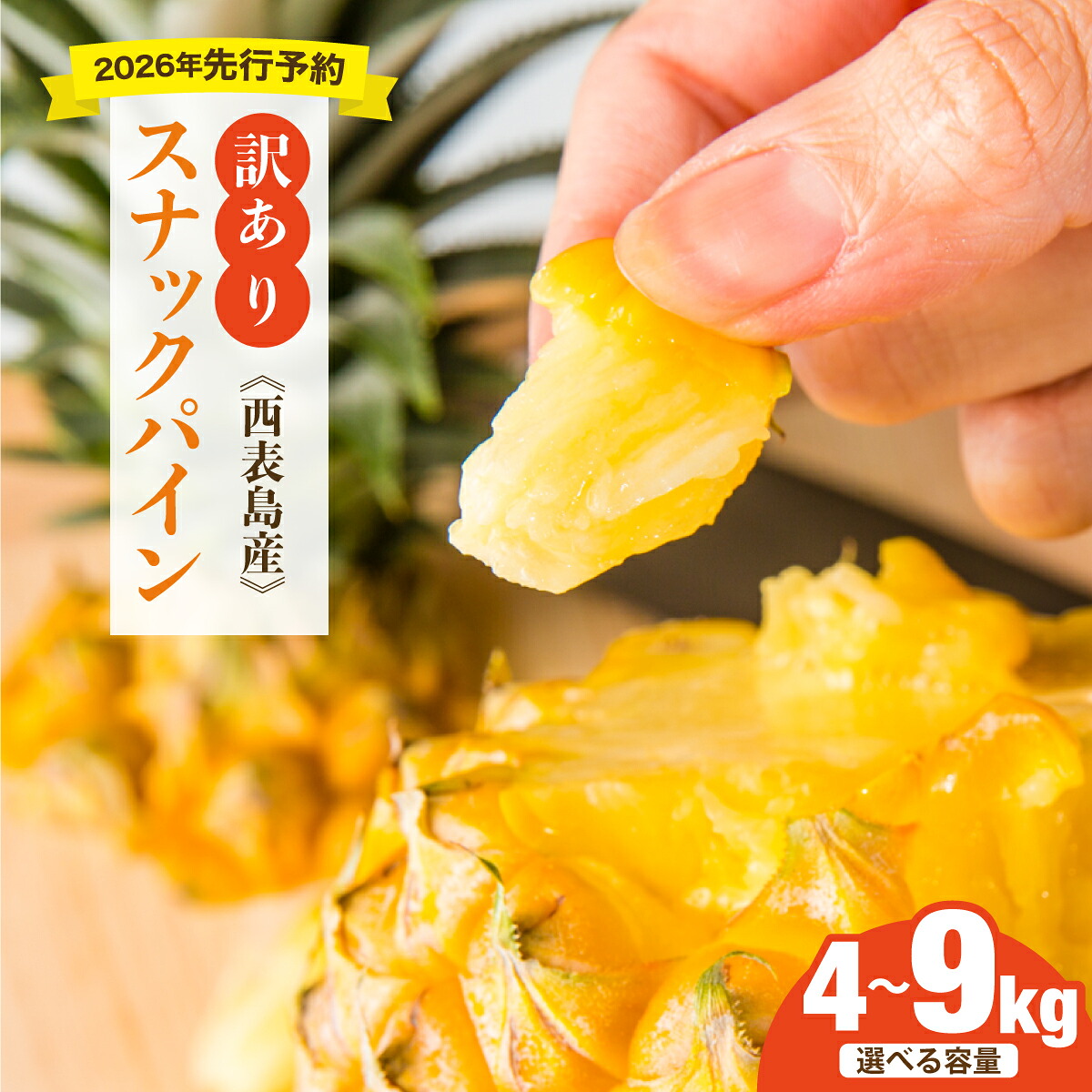 【ふるさと納税】選べる内容量 ＜訳あり！＞2026年先行予約　大きさ不揃いお得！箱にいっぱいスナックパイン4kg/9kgセット