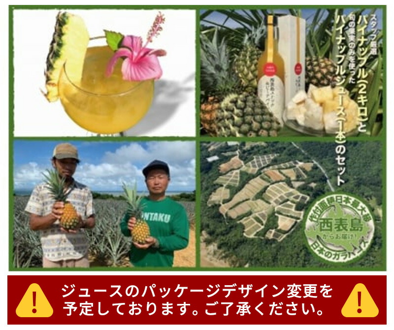 【ふるさと納税】 2025年 先行予約 熟鮮パイン2kg （2玉）と甘さをぎゅっと詰め込んだ100％ 【パイナップルジュース 1本 パイン 果物 フルーツ 果物 ジュース 】 お届け：2025年5月上旬～7月下旬