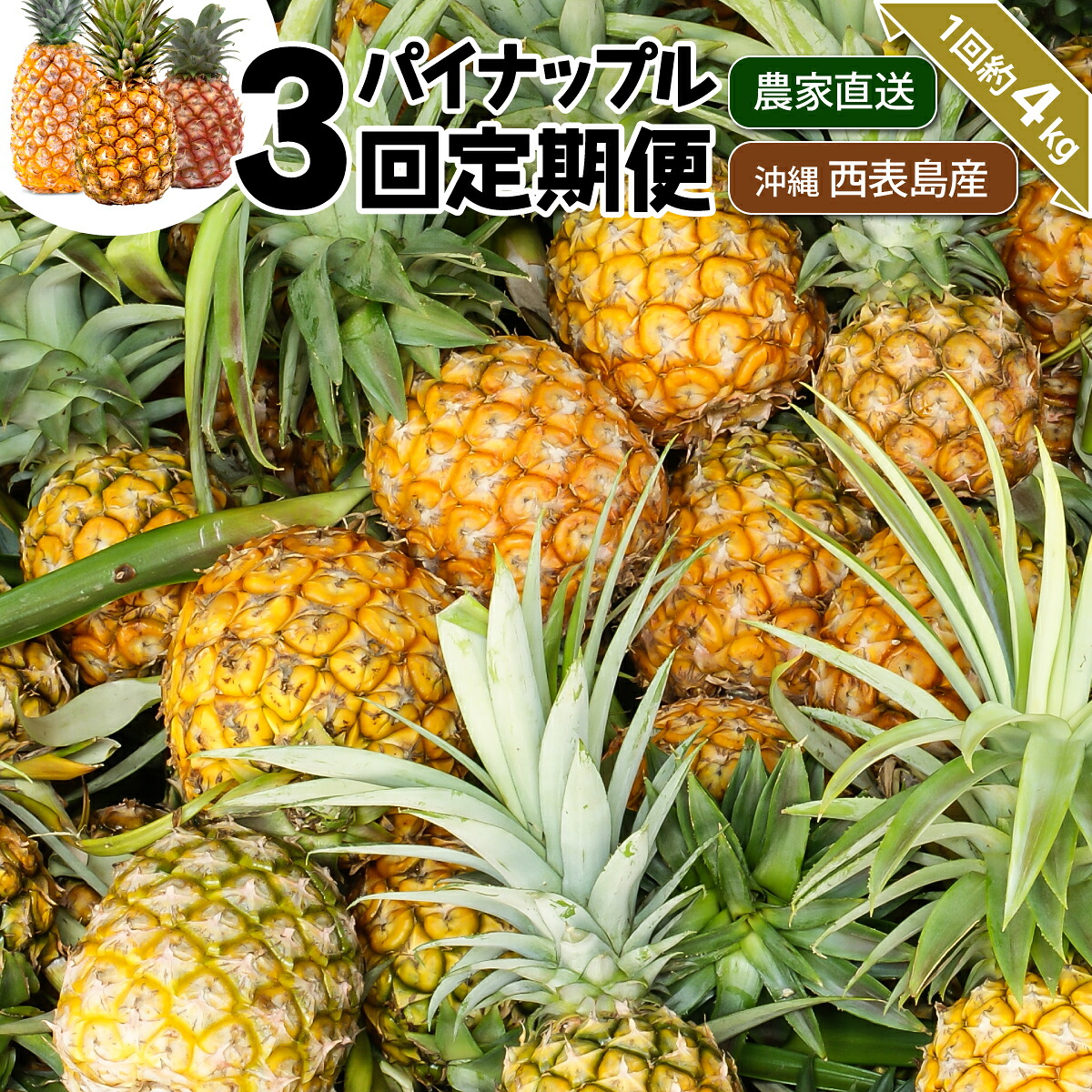 【ふるさと納税】【2026年5月~7月(全3回発送)】南国の美味しさを!パイナップル 定期便 B