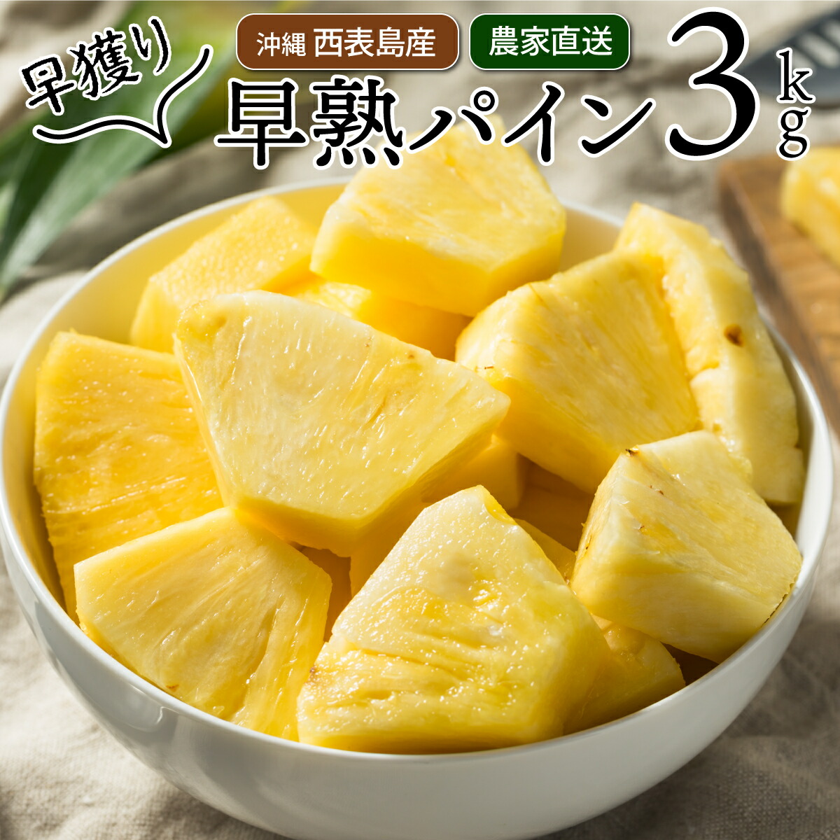 【ふるさと納税】2025年発送 南国の香り！ 早穫り完熟パイン 約3kg (3～5玉)