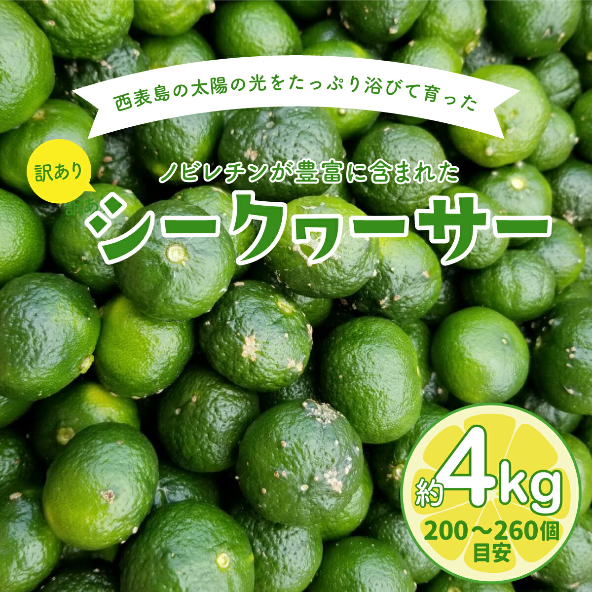 【ふるさと納税】訳あり 2025年 先行予約 青切り シークヮサー 約4kg ☆西表島ふる～つらんど☆ 果物 フルーツ 　【果物類・柑橘類・フルーツ・ シークヮ―サー】　お届け：2025年8月上旬～10月下旬