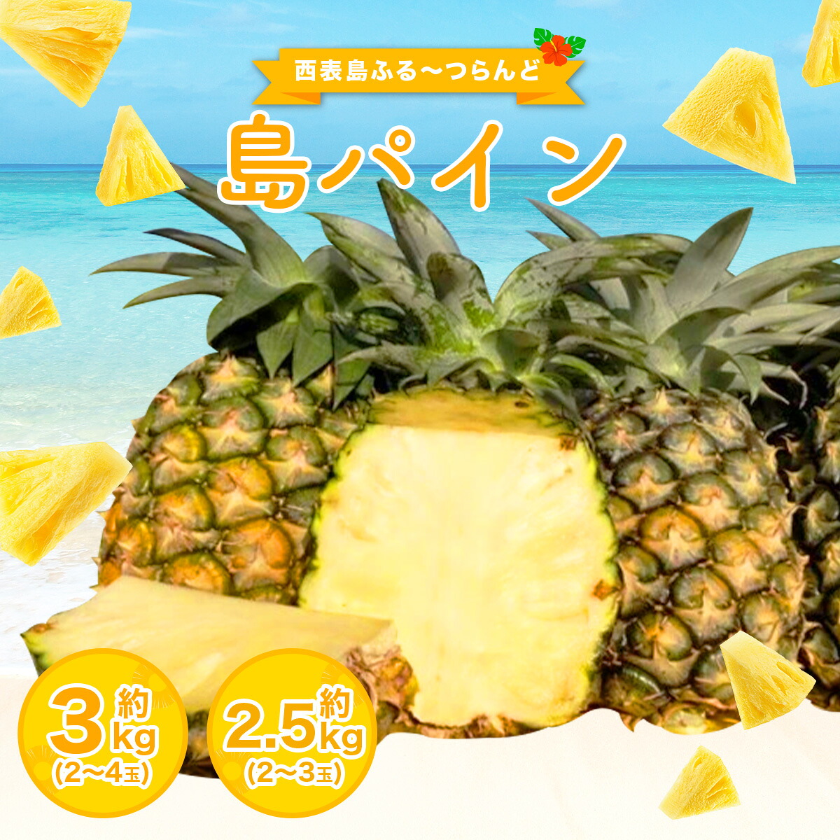 【ふるさと納税】2026年 先行予約 島パイン (ハワイ種) 約2.5～3kg 2～4玉 パイナップルの王道 【西表島産 パイン 果物 フルーツ 南国フルーツ パイナップル 沖縄県竹富町】　お届け：2026年6月中旬～7月下旬（収穫でき次第順次発送）