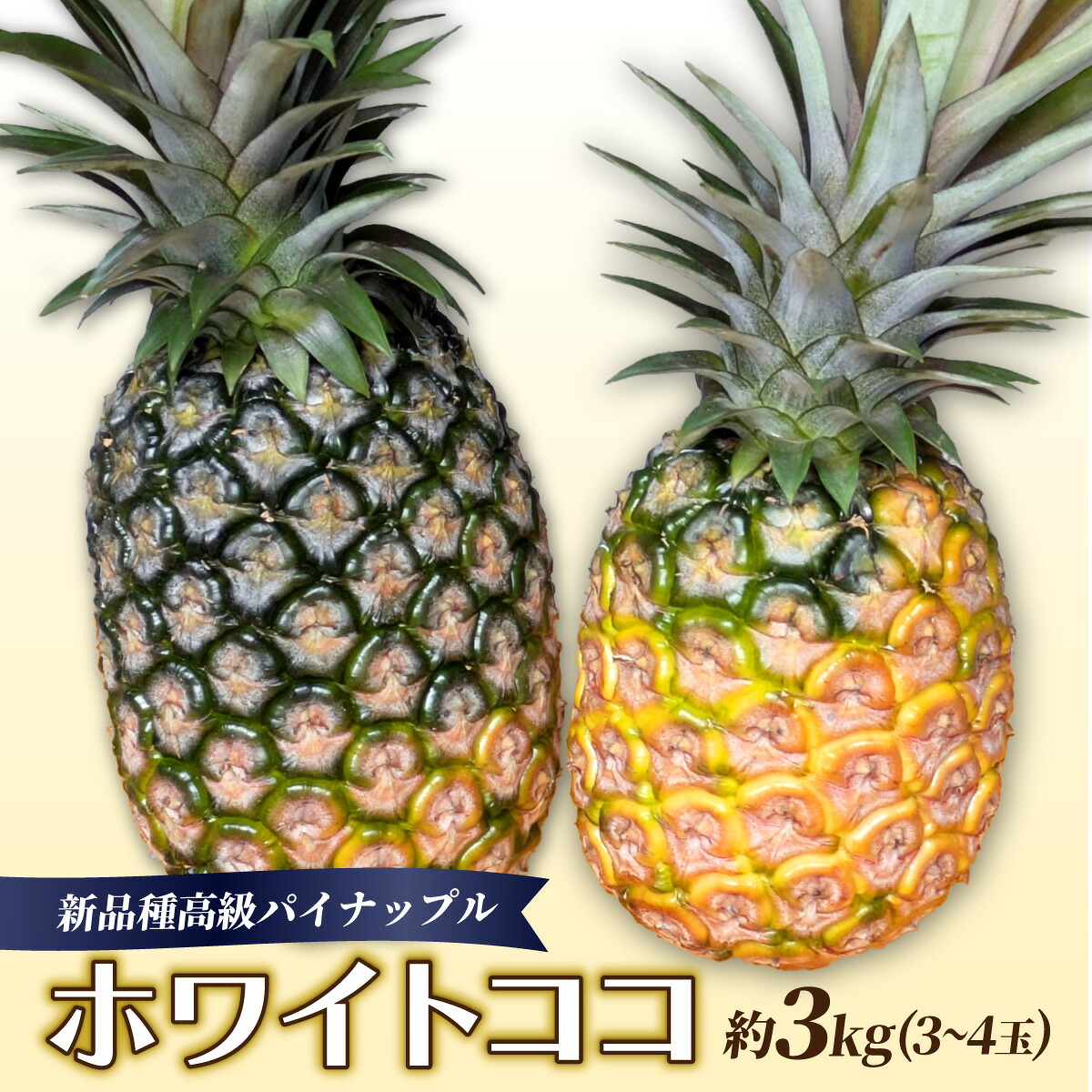 【ふるさと納税】新品種高級パイナップル ホワイトココ 希少品種 ココナッツの香り 約3kg（3～4玉）お届け時期：2026年6月上旬～7月中旬（収穫でき次第順次発送）