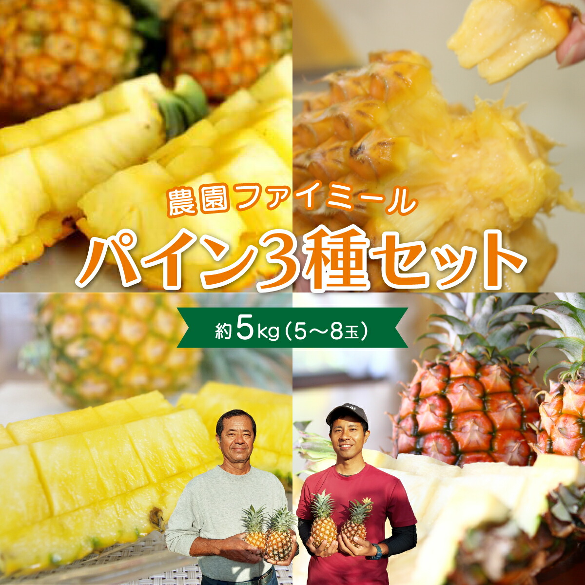 【ふるさと納税】《2025年先行予約》食べ比べ セット 約5kg 5～8玉 農園ファイミール 完熟 パイン 果物 フルーツ　【竹富町】　お届け：2025年5月中旬 ～6月下旬