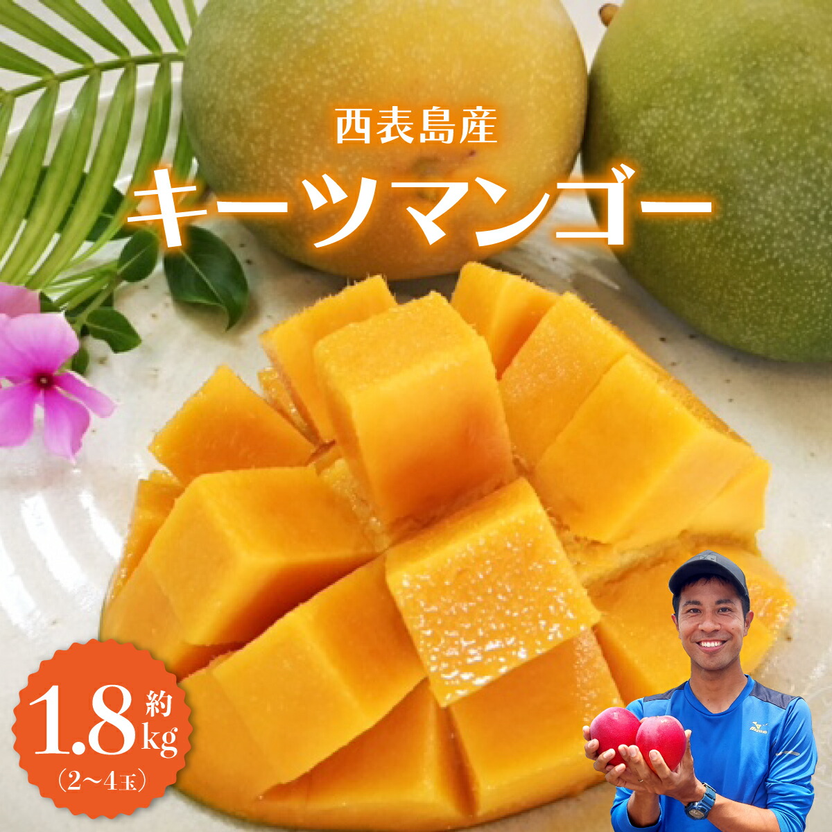 【ふるさと納税】2025年 先行予約 マンゴー 約1.8kg 2～4玉 希少品種 濃密 キーツマンゴー 高糖度保証！農園ファイミール 果物 フルーツ　【果物・フルーツ・マンゴー・キーツマンゴー・約2kg】　お届け：2025年8月上旬～8月下旬