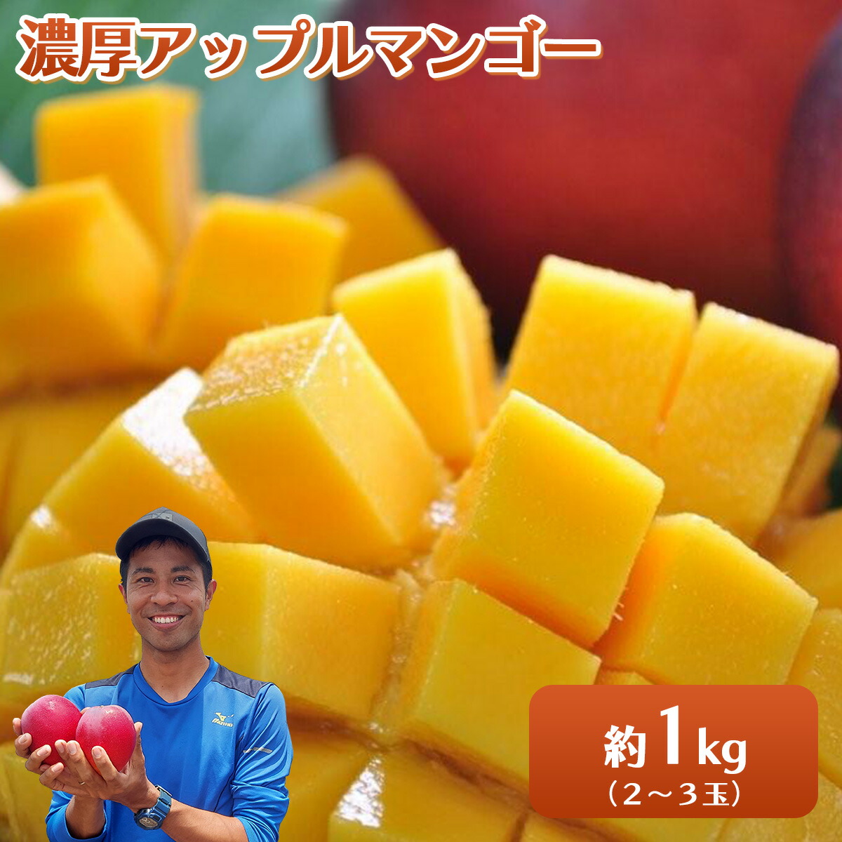 楽天市場】【ふるさと納税】2025年 先行予約 マンゴー 夏小紅 約1kg 2 