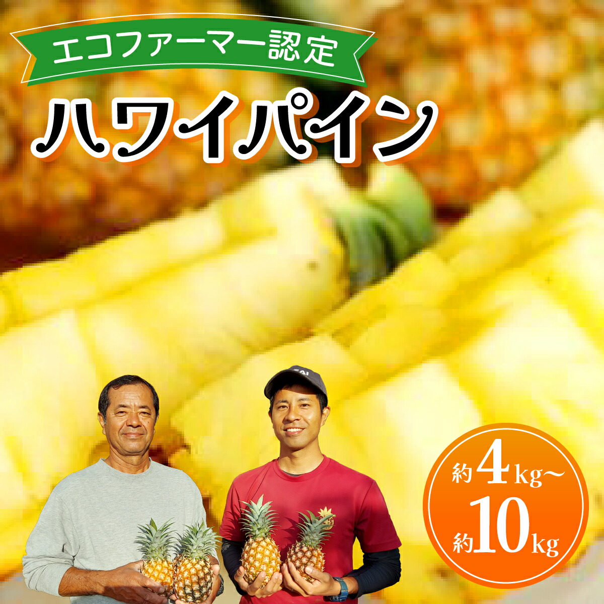 【ふるさと納税】【数量が選べる】《2025年先行予約》ハワイパイン約4～10kg 農園ファイミール 完熟 果物 フルーツ【お届け：2025年6月中旬～7月下旬】