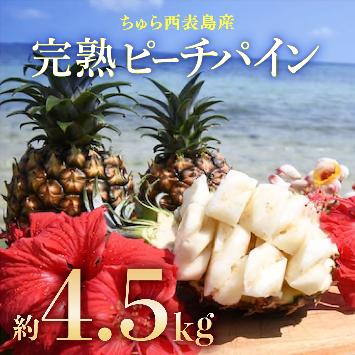 【ふるさと納税】2025年 先行予約 ピーチパイン 約4.5kg 5玉～7玉 ちゅら西表島産!! ゆたか農園 完熟 パイン 果物 フルーツ パイナップル　【果物詰合せ・フルーツ】　お届け：2025年4月25日～7月10日