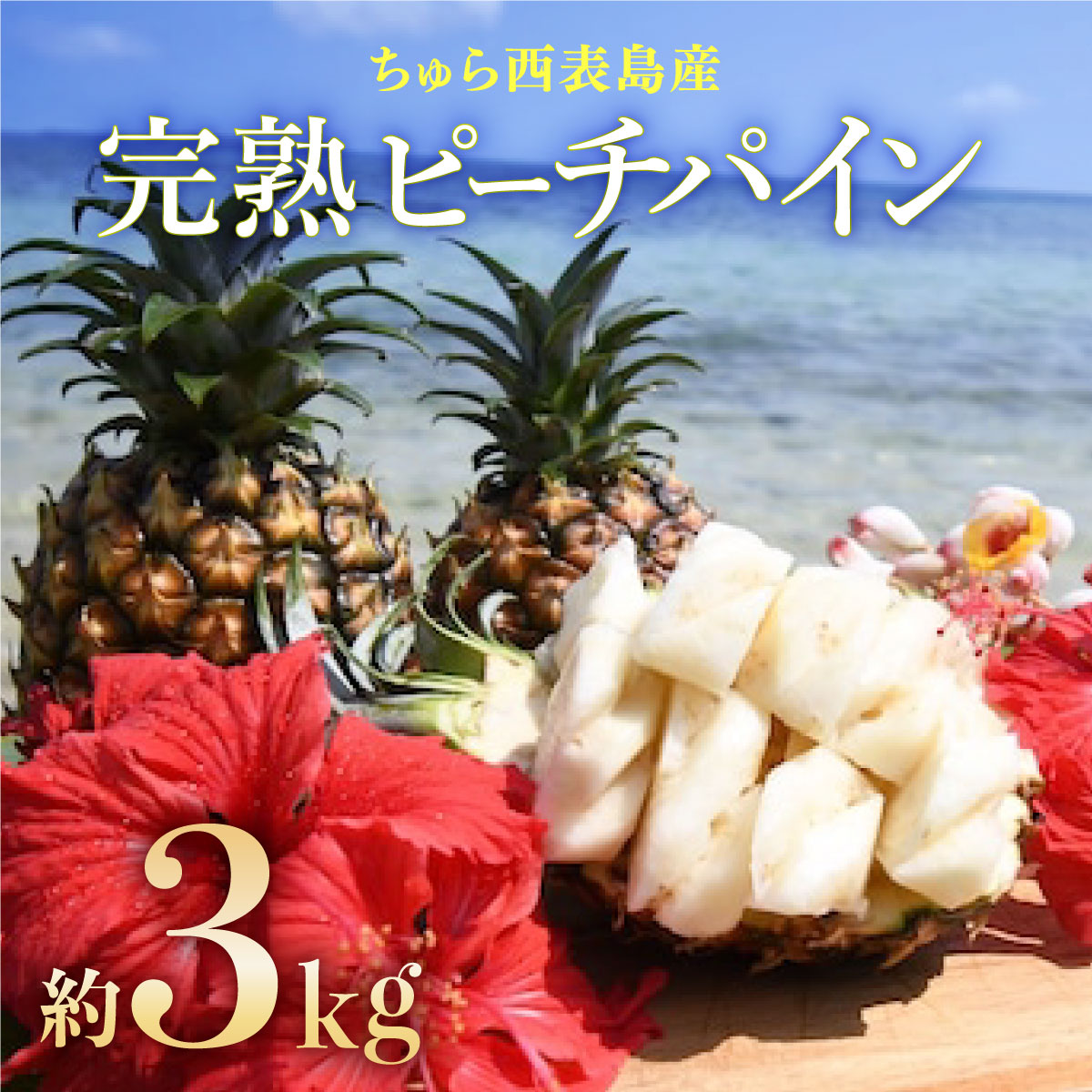 【ふるさと納税】2025年 先行予約 ピーチパイン 約3kg 3～4玉 ちゅら西表島産!! ゆたか農園 完熟 パイン 果物 フルーツ パイナップル 【 果物詰合せ フルーツ 】 お届け：2025年4月25日～7月10日