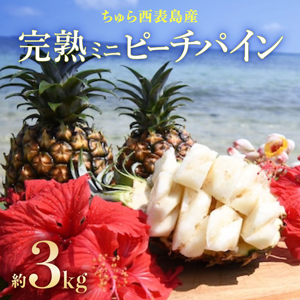 【ふるさと納税】2025年 先行予約 ミニ ピーチパイン 約3kg 6玉～8玉ちゅら西表島産!! 完熟 パイン 果物 フルーツ パイナップル　【果物詰合せ・フルーツ】　お届け：2025年4月25日～7月10日