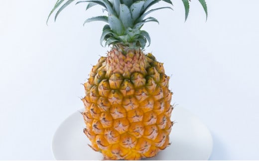【ふるさと納税】パイナップル スナックパイン 約2.5kg 2～4玉 パイン 果物 フルーツ 沖縄  西表島【TOK:iふぁーむ】配送不可：離島 【 竹富町 】 お届け：2025年5月8日～7月15日まで