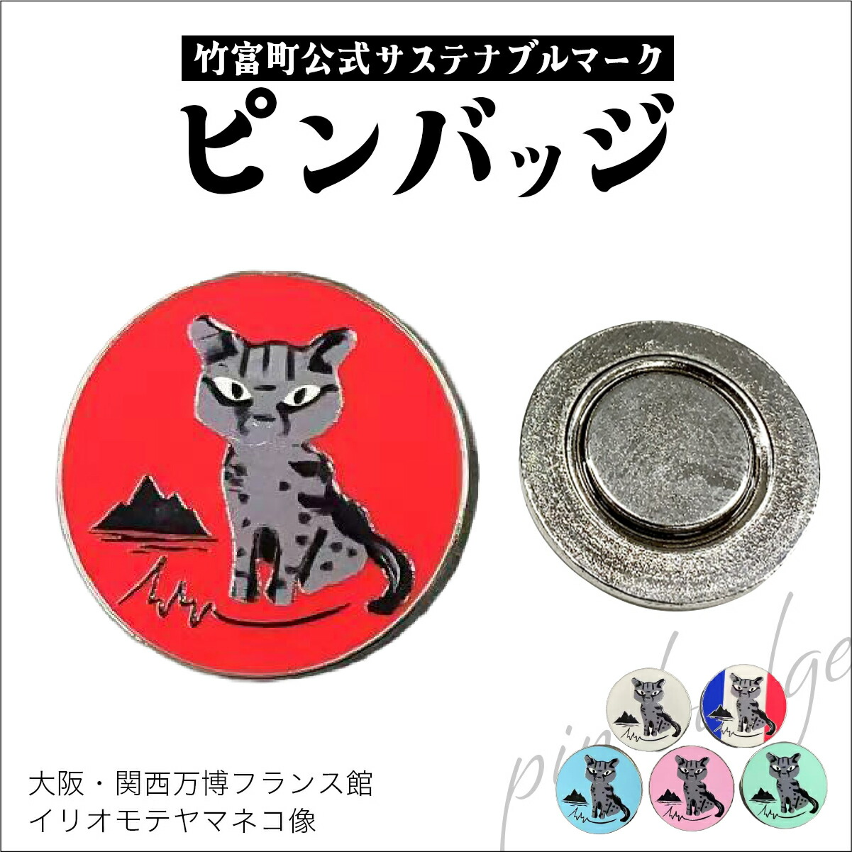 【ふるさと納税】竹富町堅苦しさサステナブルマークピンバッジ【全6色】（磁石手合い）｜ 大阪・関西万博フランス共和国館イリオモテヤマネコ像【ピン胸章 磁石 小物】