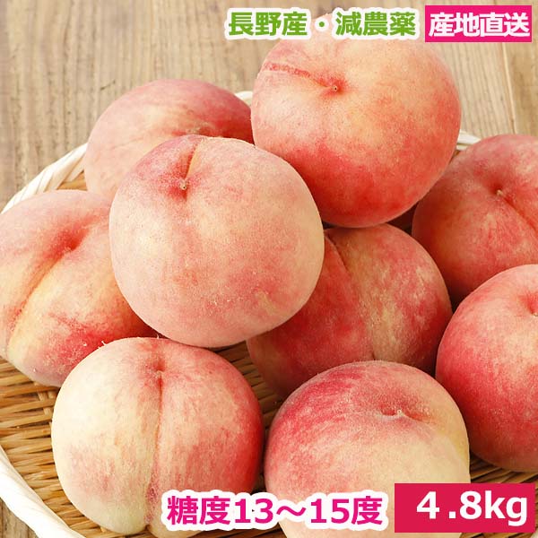 【全額返金】7月分予約 糖度13～15度 桃 減農薬 訳あり 約4.8kg 15～18玉入 品種お任せ 川中島白桃 長野産 産地直送 小山   なつっこ ※ ふるさと納税 ではありません SSS