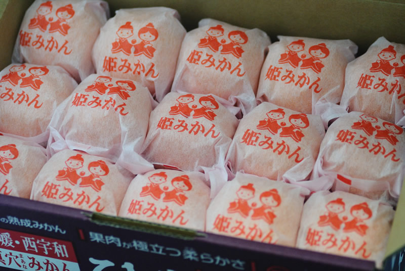 2026年1月分予約 愛媛産 真穴 みかん ひなの里 2kg 30～50個化粧箱入 ※ ふるさと納税 ではありません