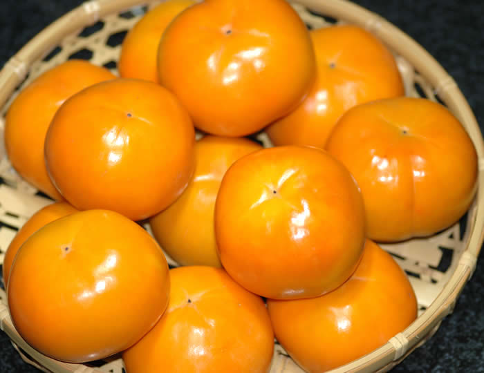 富有柿商品見本2