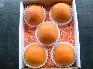 9月分予約 糖度22度 返金保証 和歌山 柿 新秋柿 L～3L 5～11玉 約1.2～2.3kg 化粧箱 贈答用 SSS 産地直送 ※ ふるさと納税 ではありません