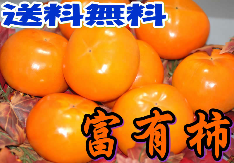 富有柿商品見本