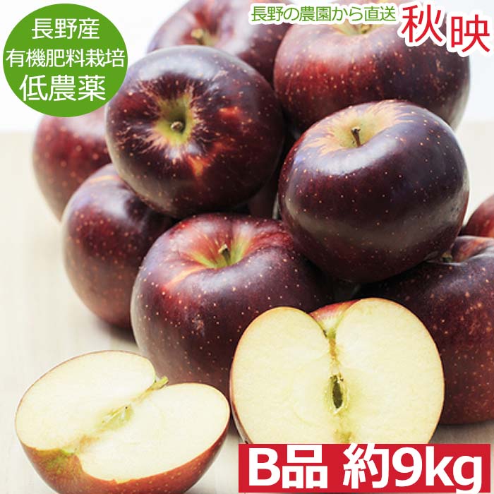 ひろりんページ　秋映　贈答用　農家直送 akibae_b9kg.jpg