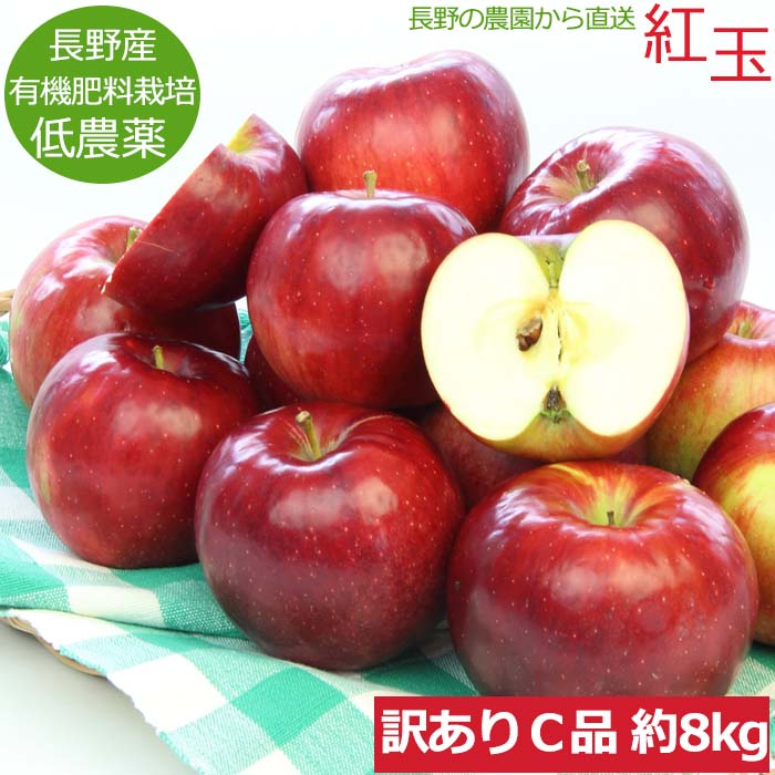 楽天市場】紅玉リンゴ（こうぎょくりんご）約10kg 小玉 46〜50個