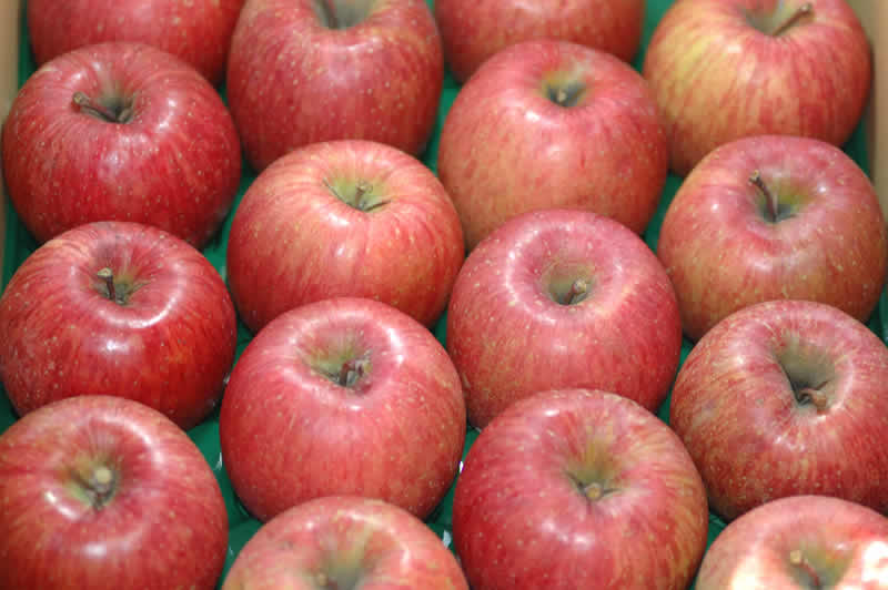 減農薬 長野 サンふじ りんご A品 約4.5kg 12〜23個入 リンゴ 林檎 産地直送 小山 SSS