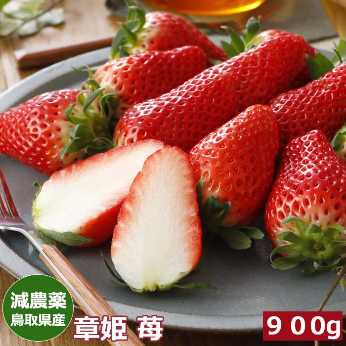 2026年分予約 減農薬 鳥取県産 章姫 苺 いちご 贈答用 大粒30～36玉 900g 化粧箱入 産地直送 SSS ※ ふるさと納税 ではありません