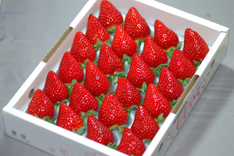 徳島産 さくらももいちご 20粒 約700g 化粧箱入