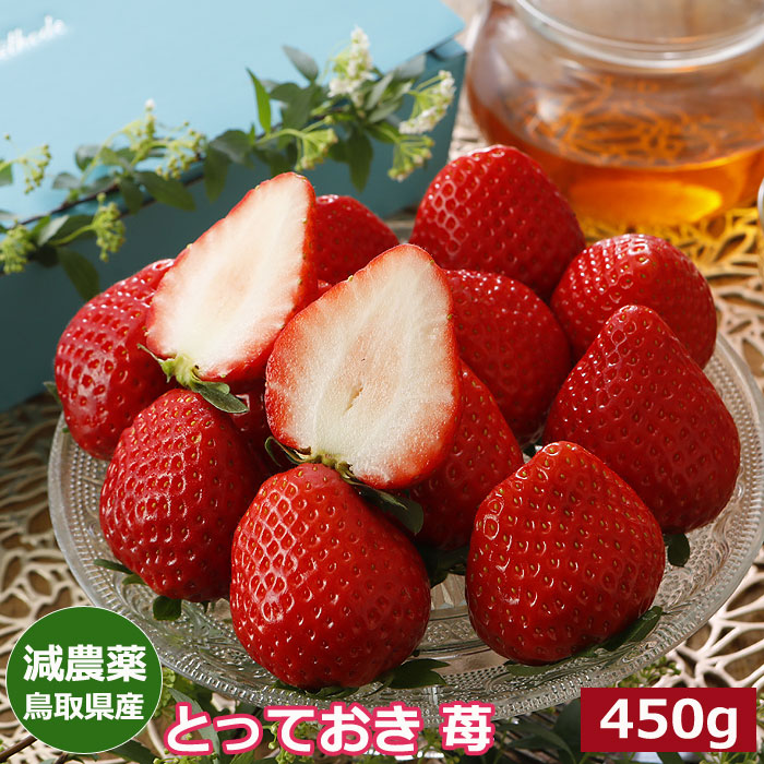 2026年分予約 減農薬 鳥取県産 とっておき 苺 いちご 贈答用 大粒 450g～900g 化粧箱入 産地直送 章姫 あきひめ SSS ※ ふるさと納税 ではありません