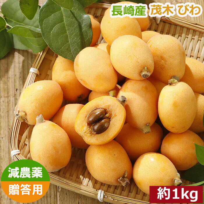 減農薬 長崎産 茂木 びわ 約1kg 贈答用 M～Lサイズ 24～30玉前後入 ビワ 枇杷 母の日 産地直送 SSS ※ ふるさと納税 ではありません