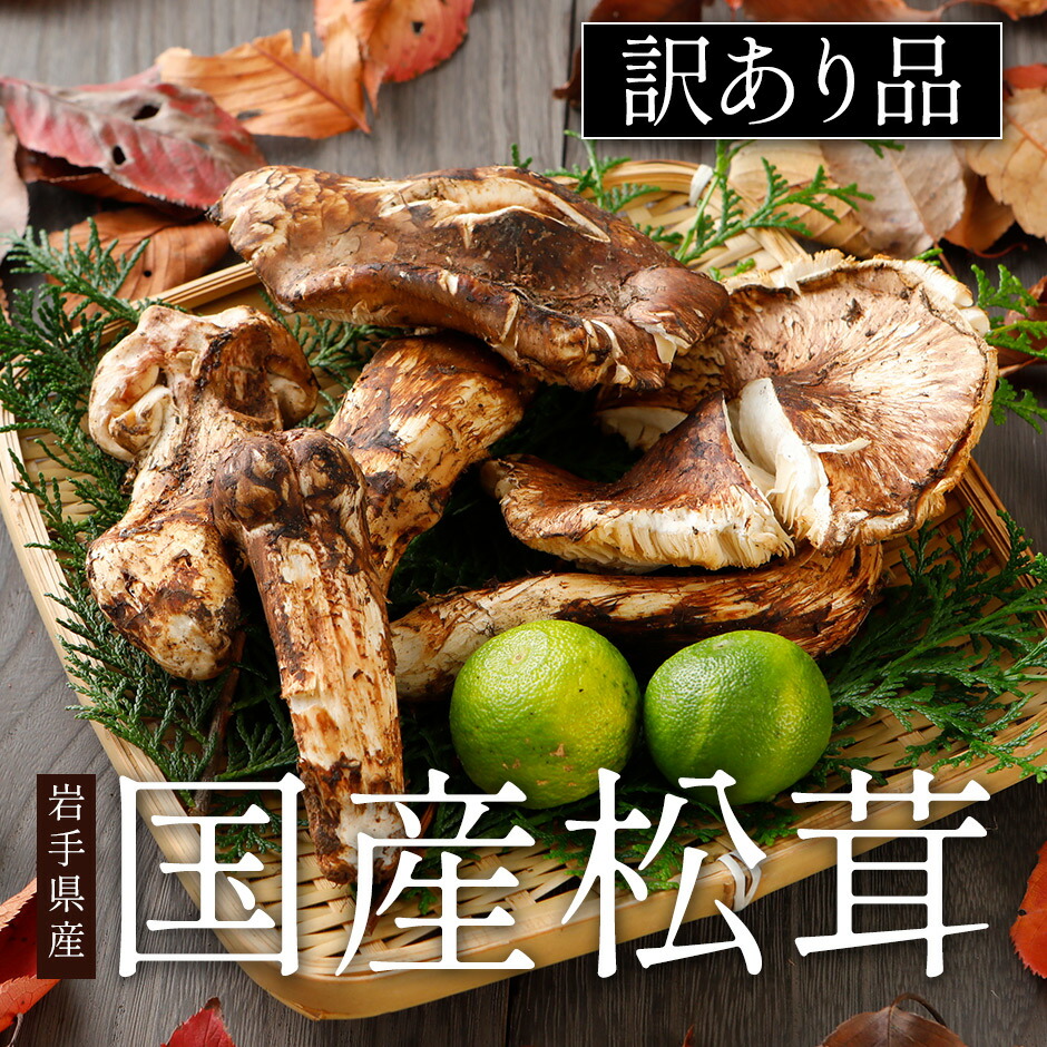 中国産 松茸 約1kg マツタケ まつたけ。 中国産 松茸 約1kg まつたけ マツタケ - 野菜超 安い