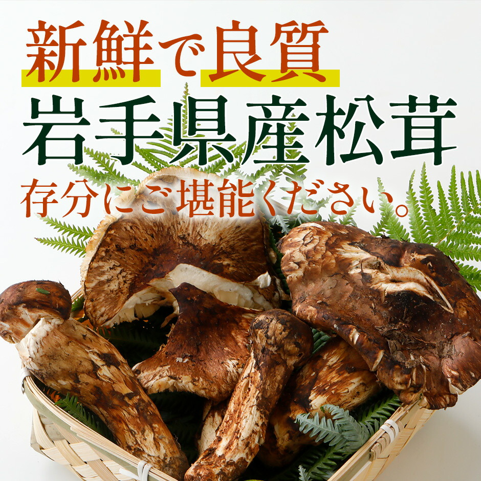④岩手県産松茸 コロ、傷、訳あり、難あり