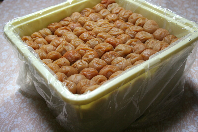 無添加 無着色 和歌山産 南高梅「白干し梅」梅干し Lサイズ5kg 紀州梅 産地直送 ※ ふるさと納税 ではありません S10｜はちまるはち お中元 お歳暮 17,736円