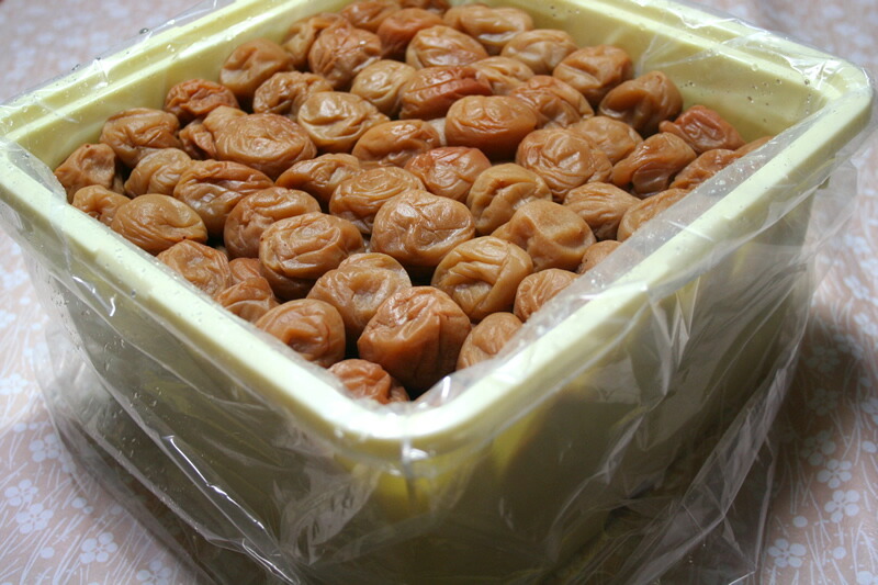 楽天市場】無添加 無着色 和歌山産 南高梅「白干し梅」梅干し 2Lサイズ