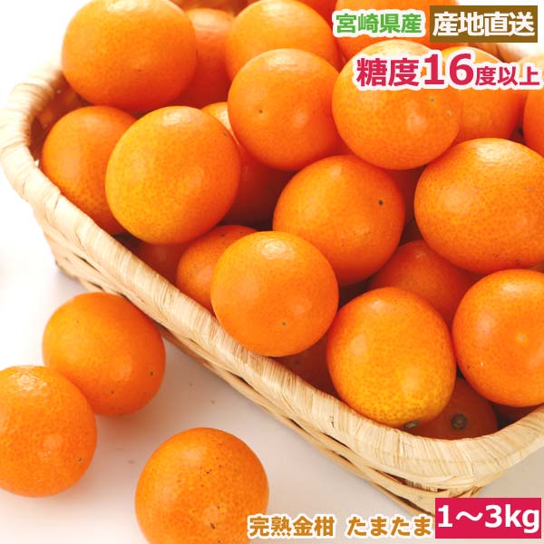 楽天市場】2025年12月分予約 減農薬 紅まどんな と同品種 みかん 楽天市場】2025年12月分予約 減農薬 紅まどんな と同品種 みかん