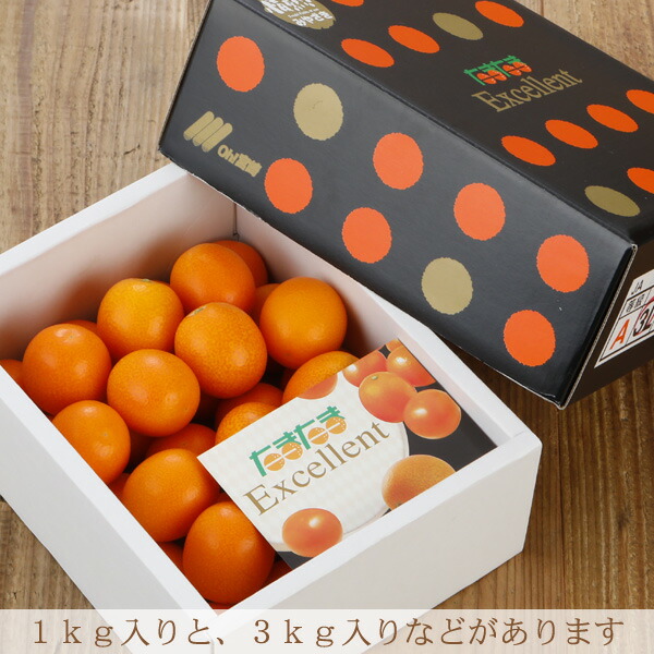 2026年2月分予約 宮崎産 完熟 きんかん 金柑 たまたま エクセレント 約1kg～3kg 化粧箱入 柑橘 贈答 国産 フルーツ ギフト 内祝い 果物 祝い お中元 母の日 父の日 敬老の日 お歳暮 御歳暮 S10 ※ ふるさと納税 ではありません