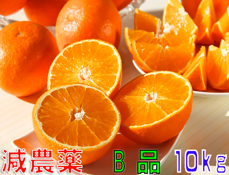 aika-b-10kg.jpg