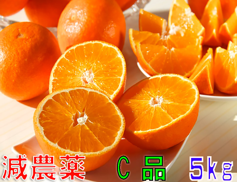 12月分予約 訳あり 減農薬 紅まどんな と同品種 みかん あいか 約3~10kg C品 サイズ混合 愛媛 産地直送 大三島 NN お歳暮 ※ ふるさと納税 ではありません