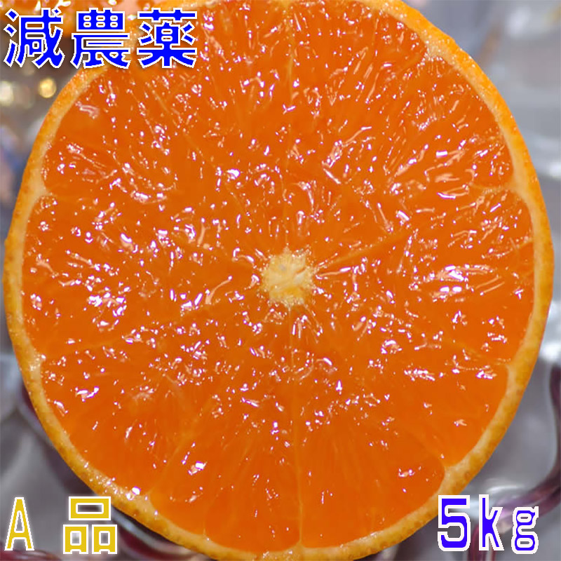 せとか15㎏(家庭用) kosaka 楽天市場】せとかの通販