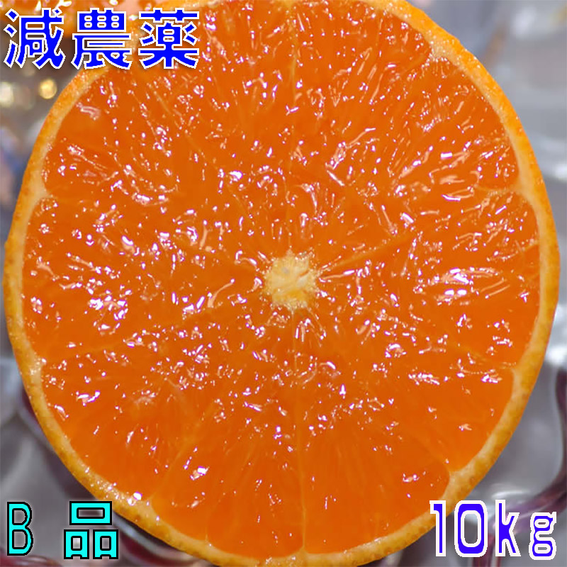 みかん様確認用！ みかん 温州みかん 産地厳選 風のいたずら ちょっと訳あり 大き