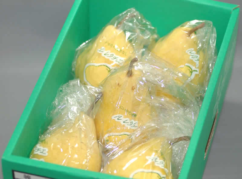 12月分予約 新潟県産 洋梨 ル レクチェ 秀品 贈答用  約2kg5～10個 化粧箱入 ル・レクチェ S10 ※ ふるさと納税 ではありません