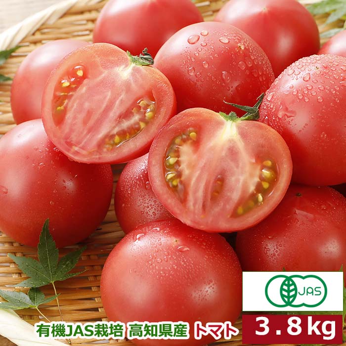訳あり 有機JAS栽培 高知県産 トマト 3.8kg 産地直送 SSS とまと ※ ふるさと納税 ではありません