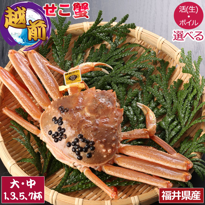 11月分予約 【全額返金】訳あり 生 越前 せいこがに 蟹 活/ボイル ギフト お歳暮 セイコガニ セコガニ せいこかに せこがに セコガニ せこ蟹 せこかに セコカニ ズワイガニ 福井県産 産地直送(容量と、活かボイルかを選べる) SU