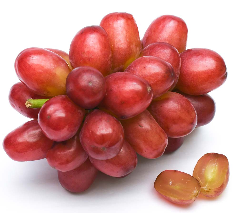 10月分予約 低農薬 クイーンルージュ ぶどう 1.8kg 3～5房 入 ブドウ 葡萄 長野産 産地直送 ※ ふるさと納税 ではありません SSS